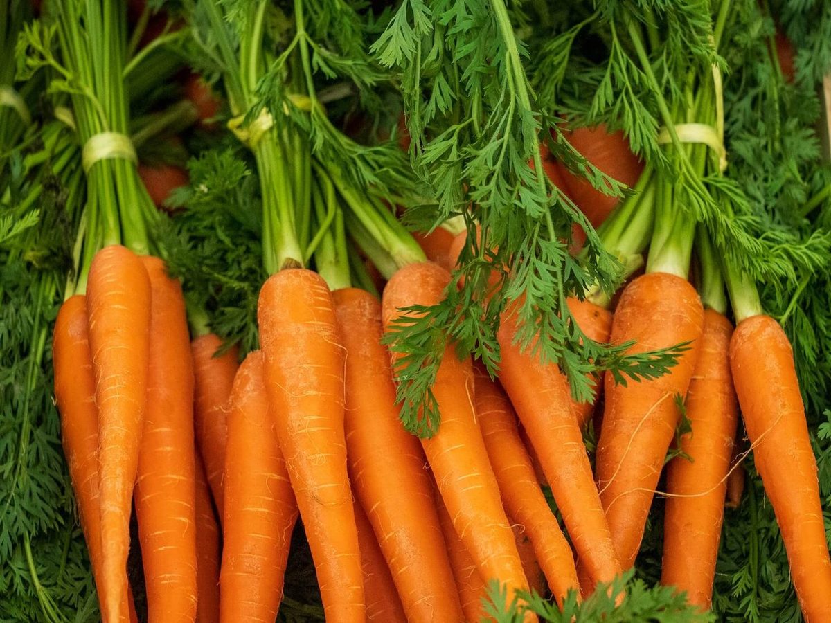 Fresh Carrots