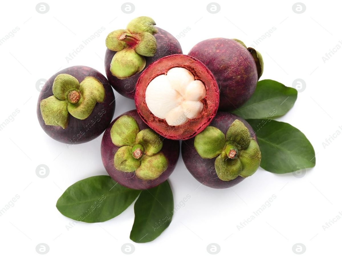 Fresh Mangosteen