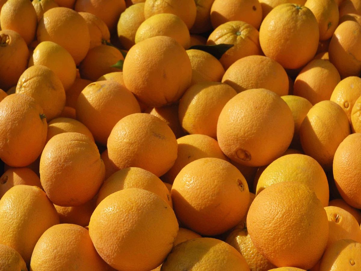 Fresh Navel Orange