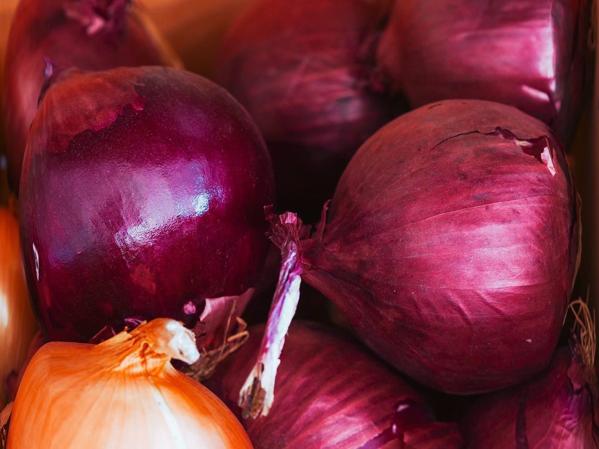 Fresh Red Onion