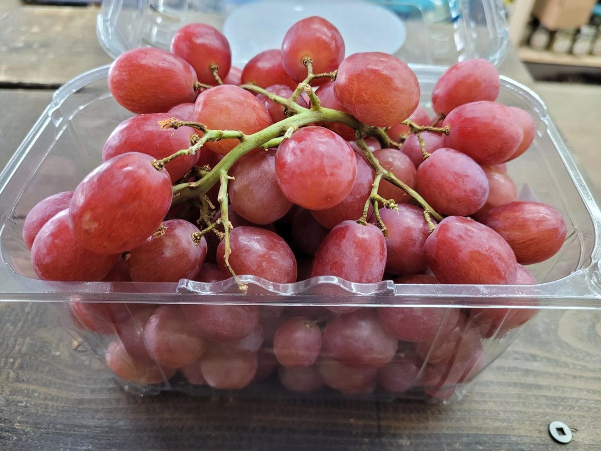 Fresh Seedless Grapes
