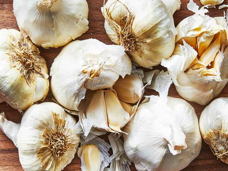 Fresh Garlic