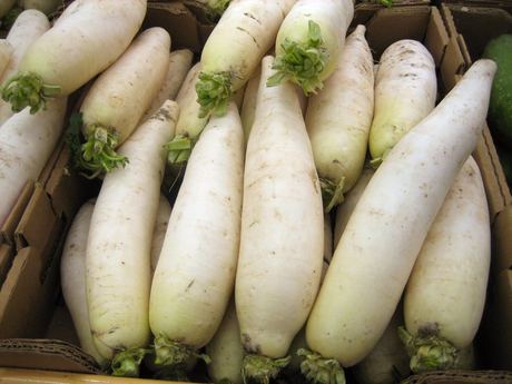 Fresh Radish