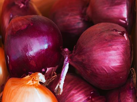 Fresh Red Onion