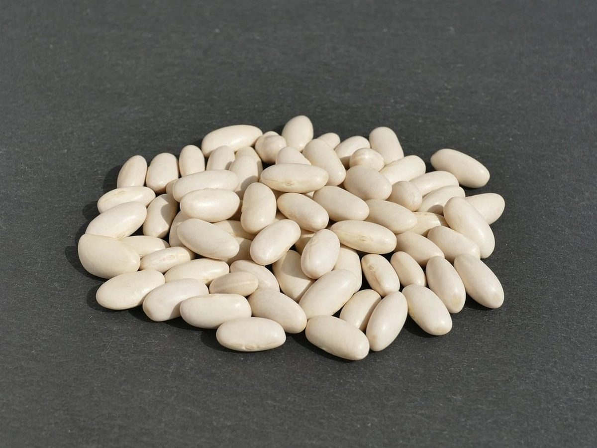 Cannellini Beans