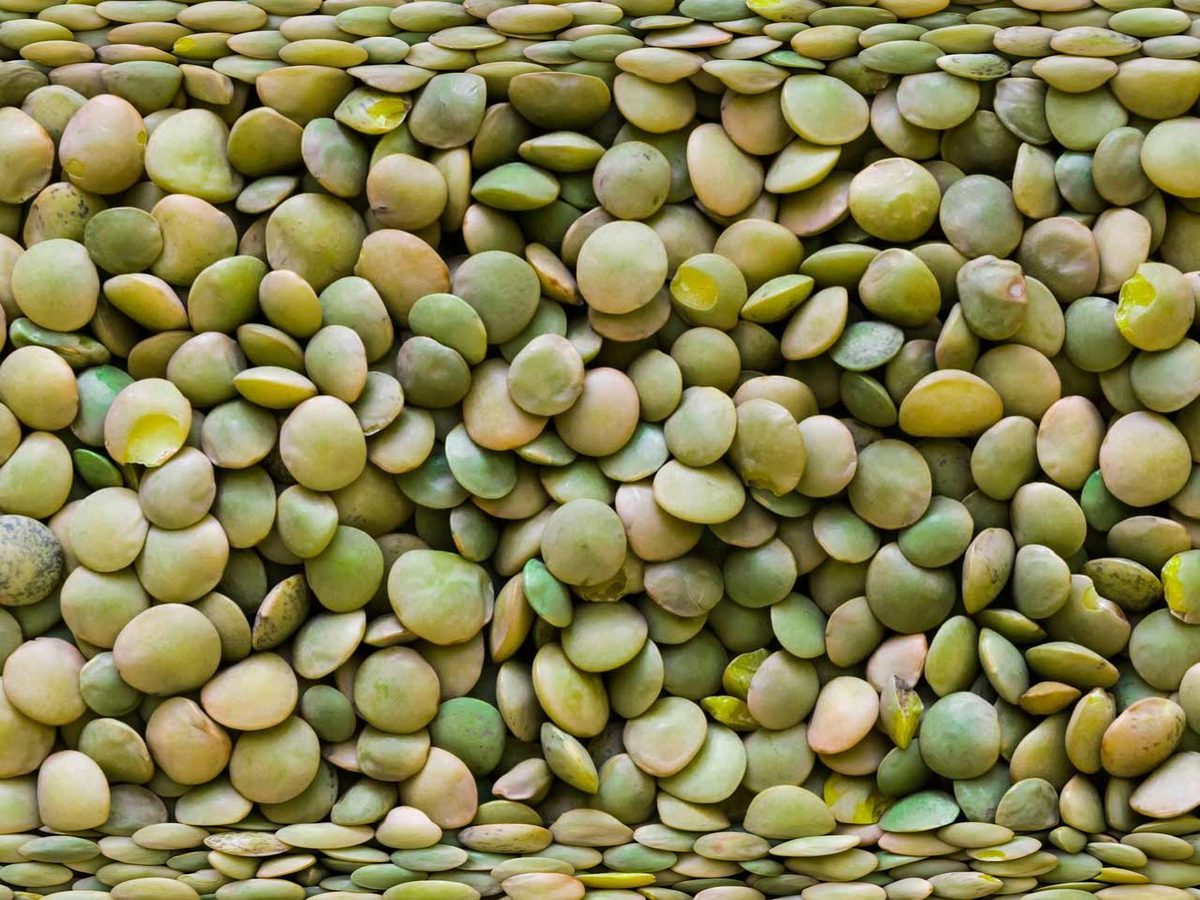 Lentils (green / red / yellow)