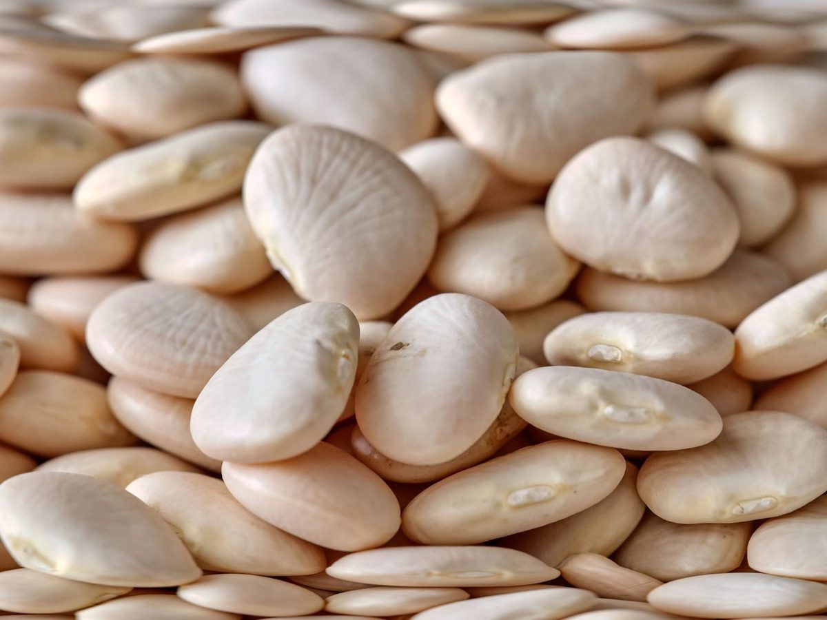 Lima Beans