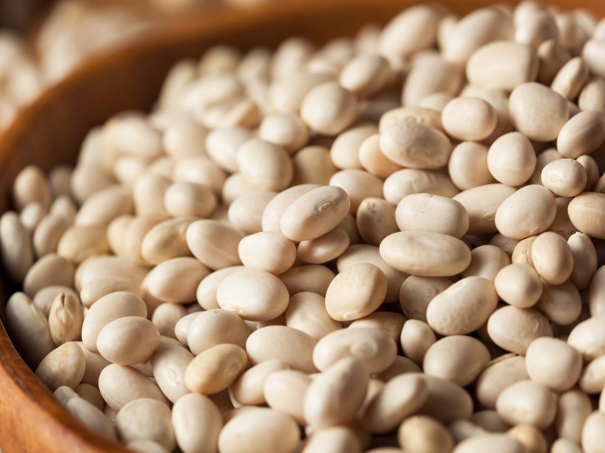 Navy Beans