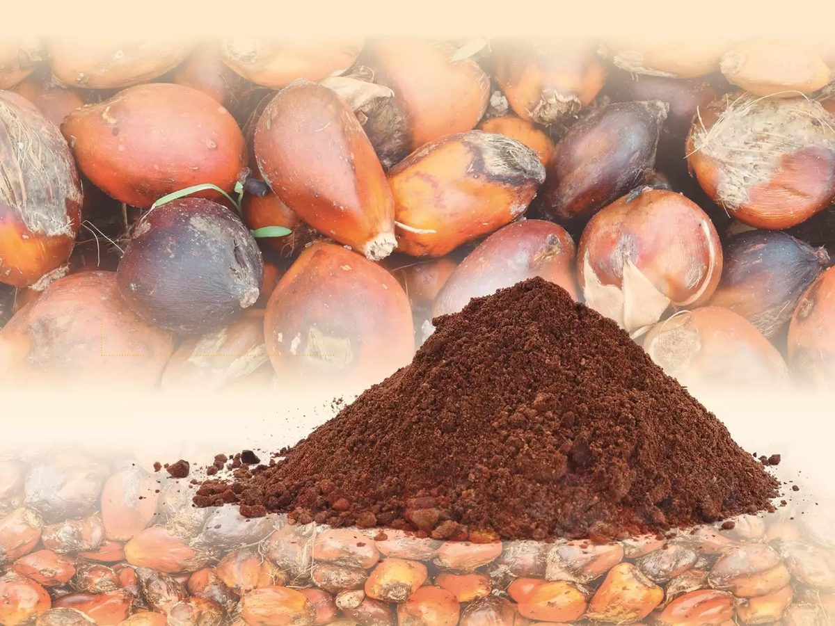 Palm Kernel Flour