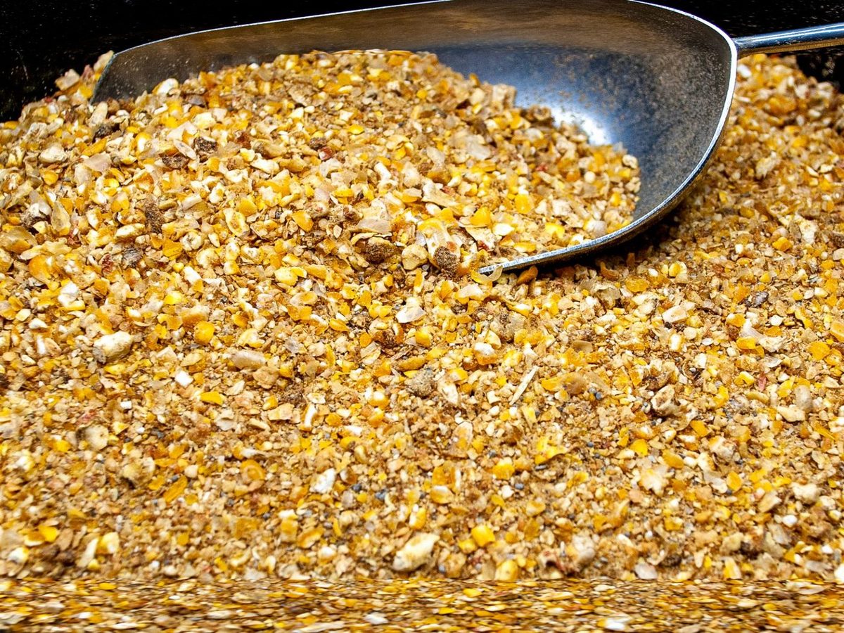 Piglet Feed