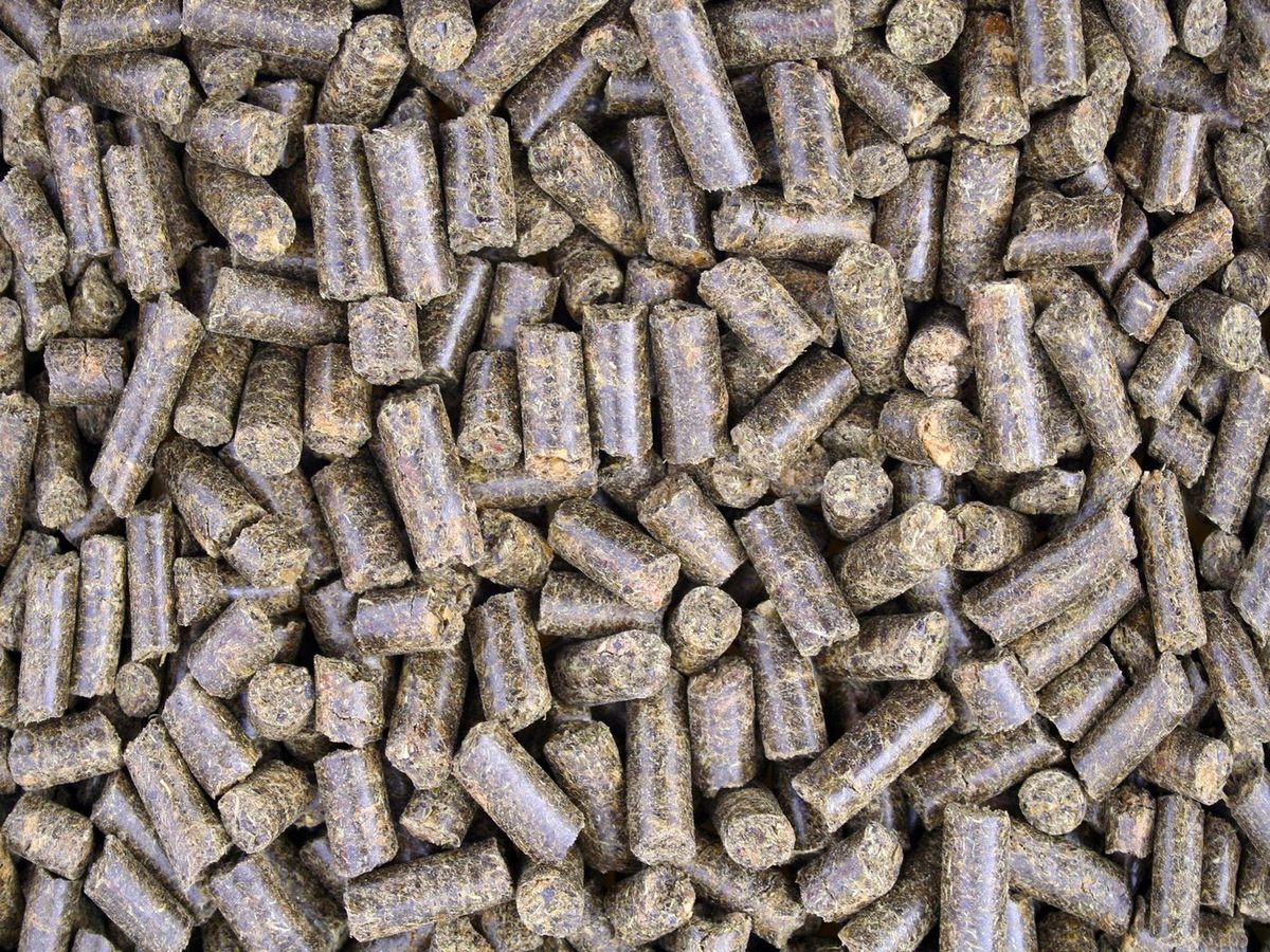 Sugar Beet Pulp Pellets