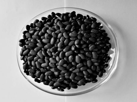 Black Kidney Beans