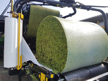 Corn Silage