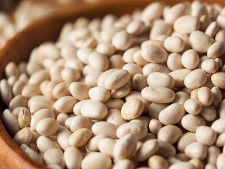 Navy Beans