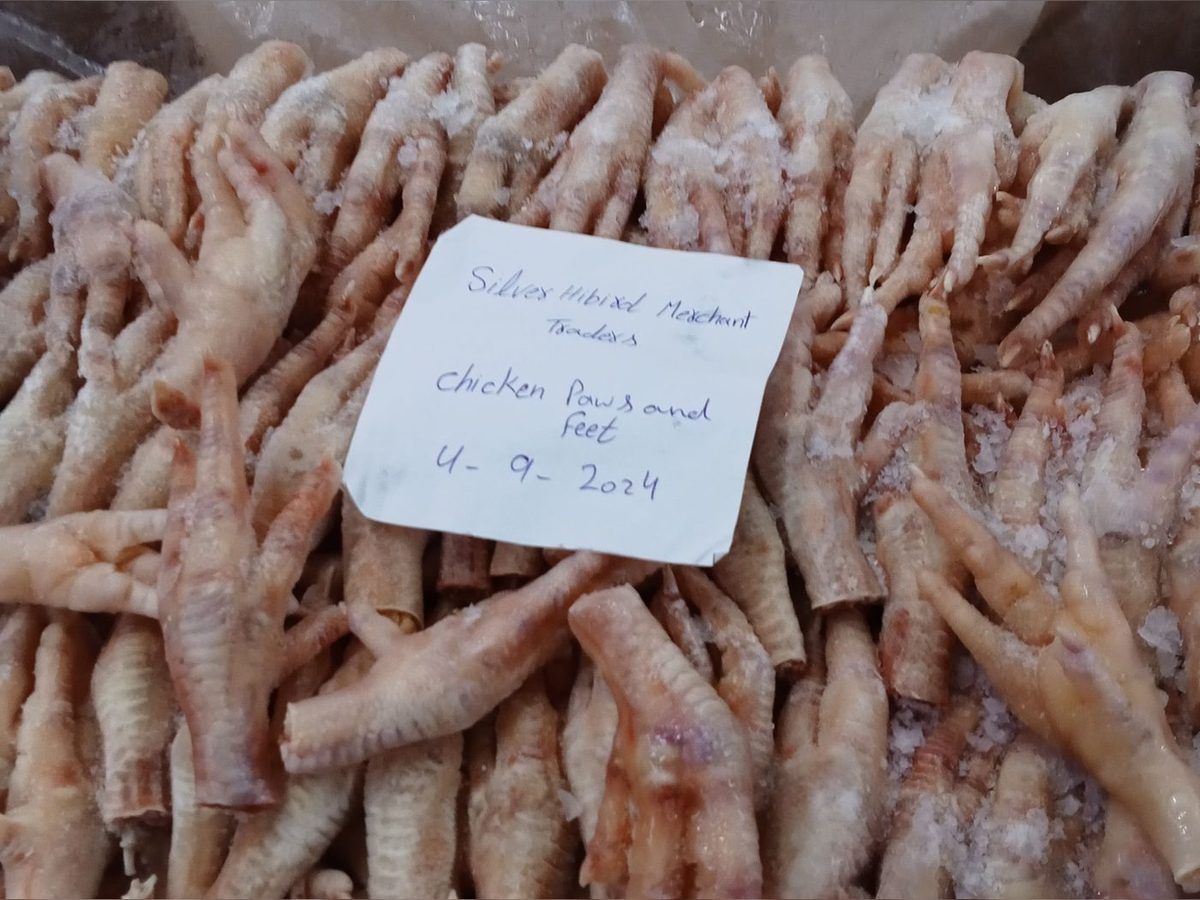 Frozen Chicken Paws