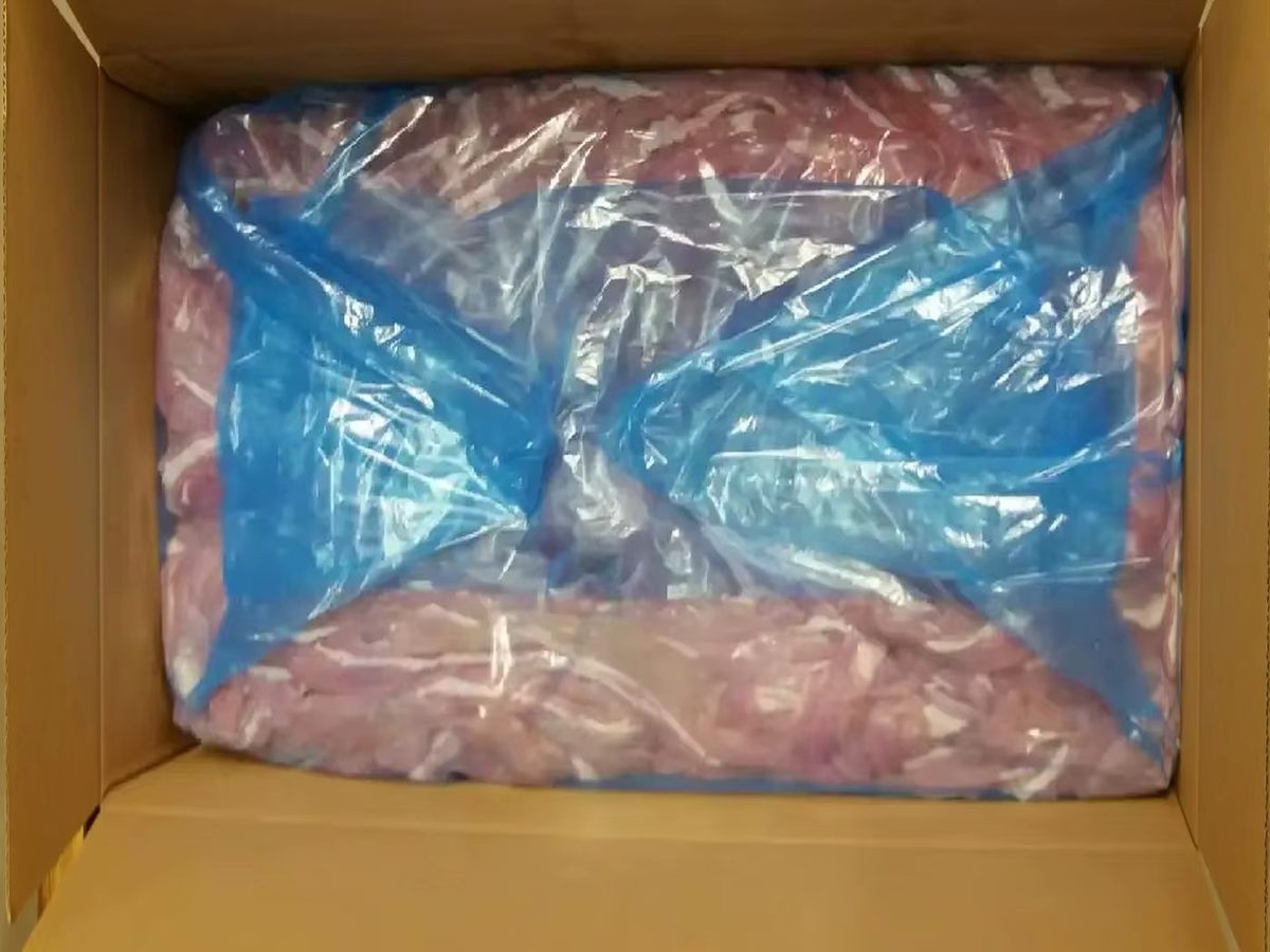 Pork Small Intestine