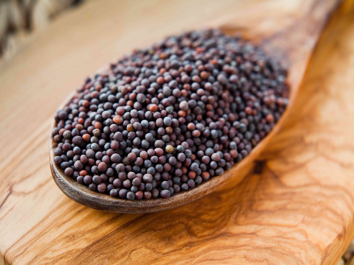 Mustard Seeds