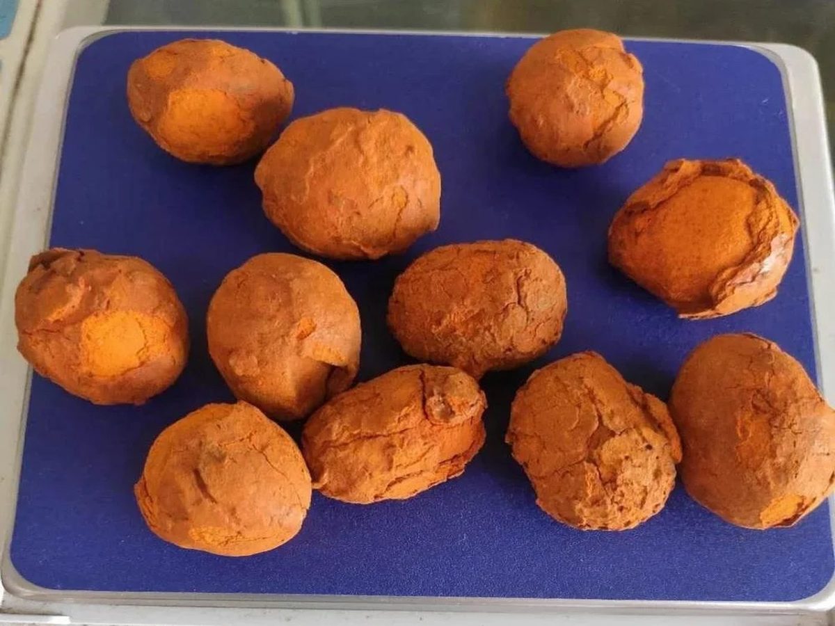 Ox Gallstones
