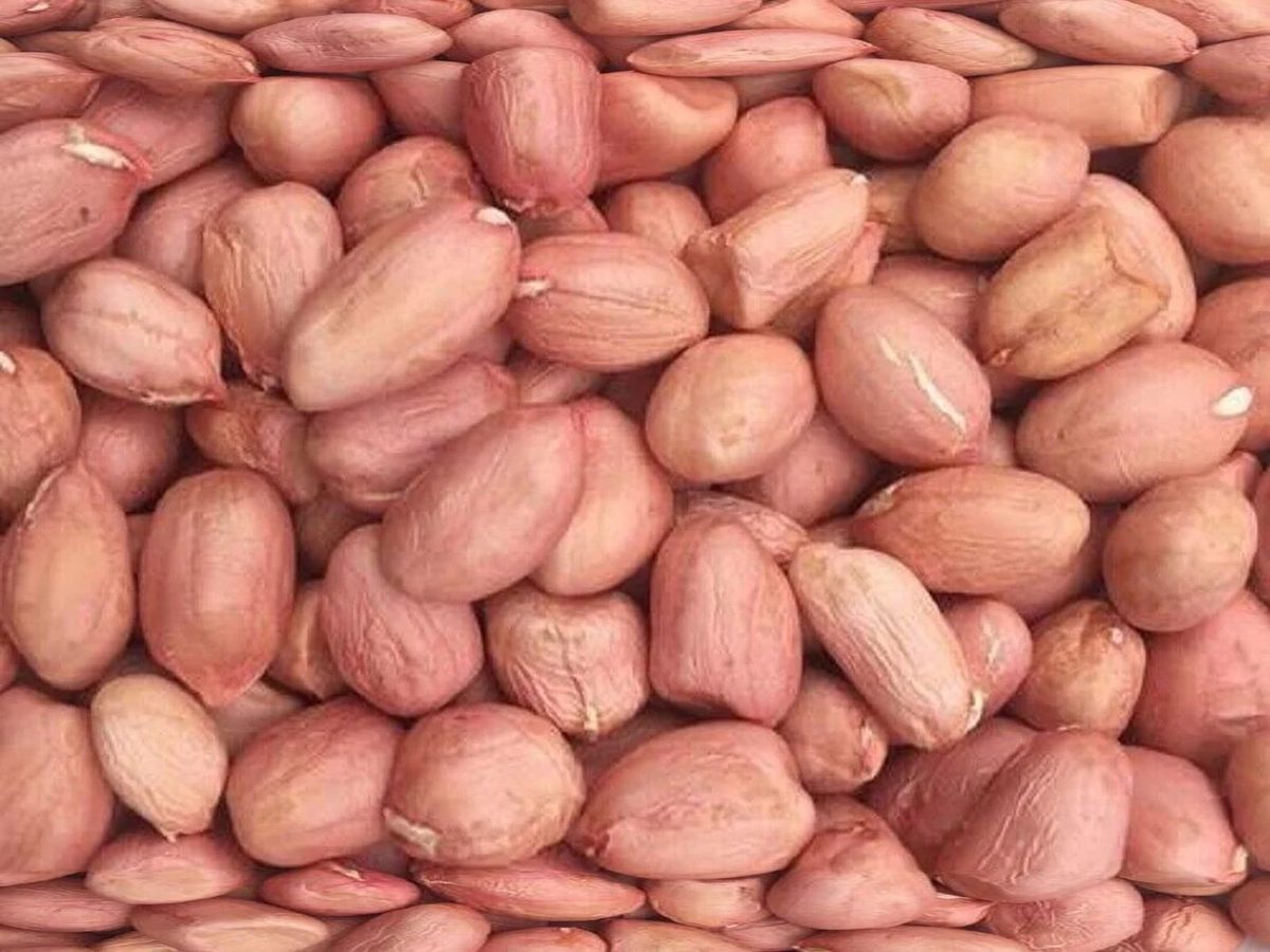 Peanuts