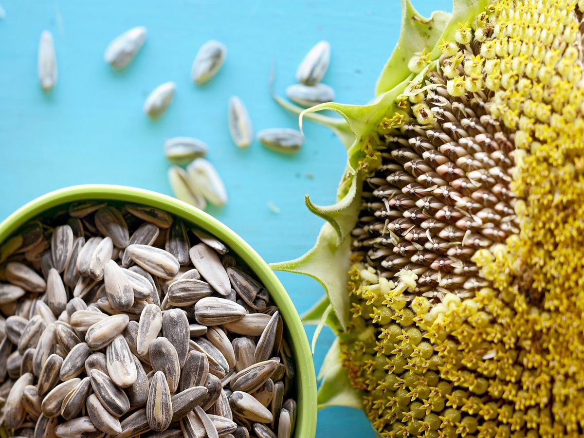 Sunflower Seed Kernels