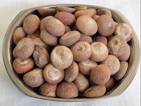 Dried Betel Nuts