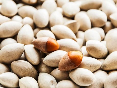 Ginkgo Nuts