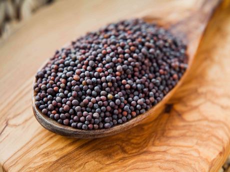 Mustard Seeds
