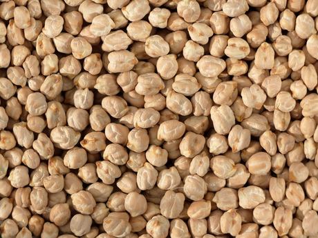 Organic Chickpeas