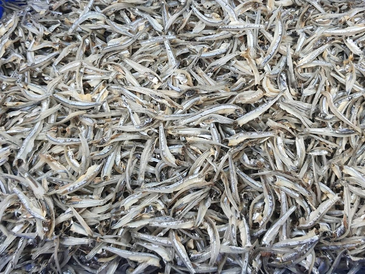 Dried Anchovy