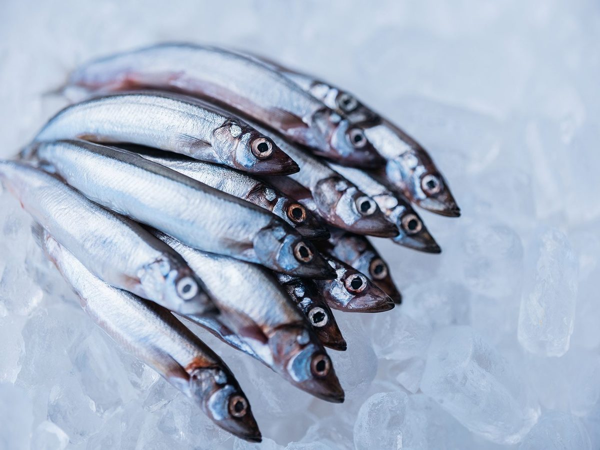 Frozen Capelin