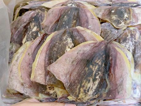 Dried Cuttlefish
