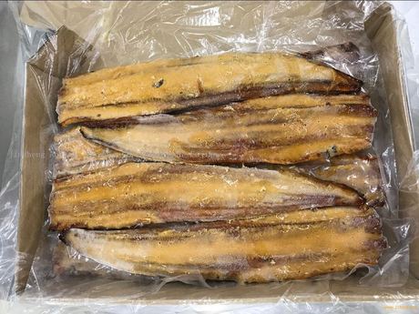 Frozen Conger Eel