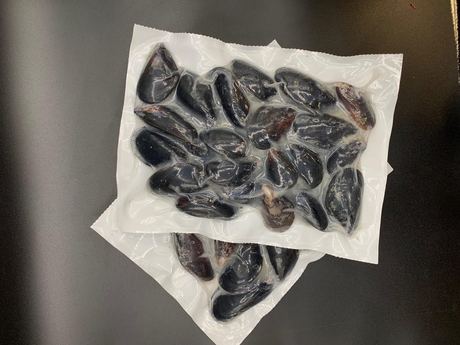 Frozen Mussels