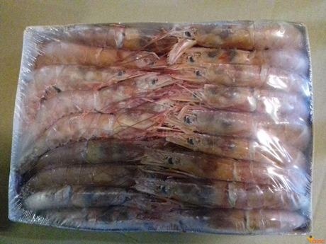 Frozen Red Shrimp
