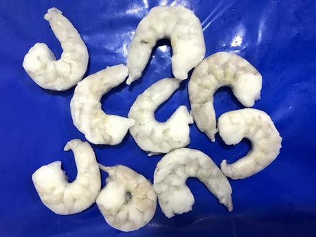 Peeled Shrimp