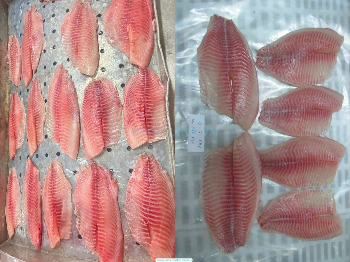 Tilapia Fillet