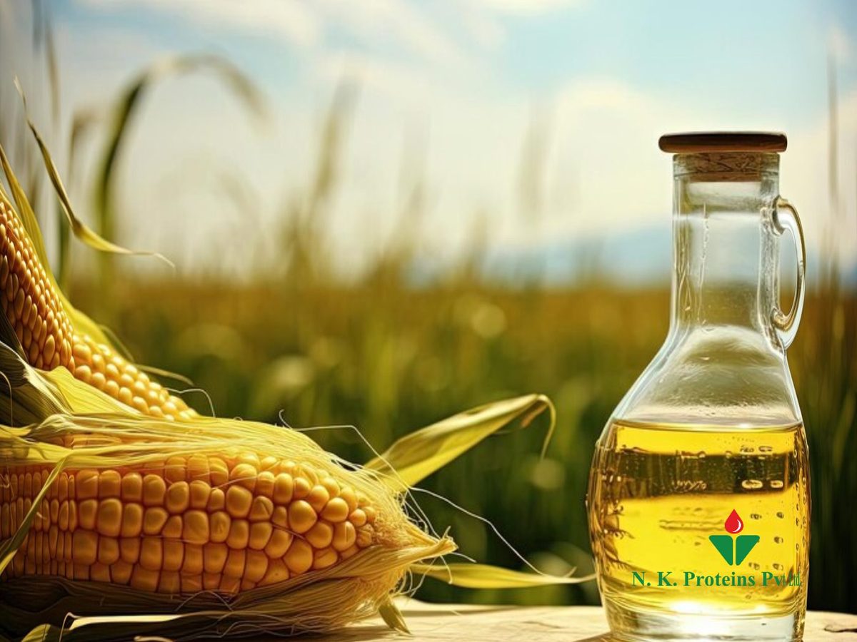Refined Corn Oil