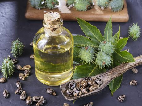 Refined Castor Oil