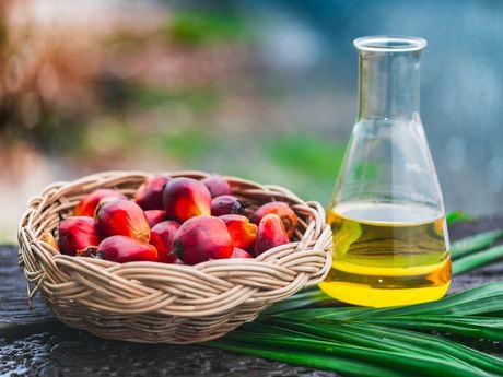 Refined Palm Oil