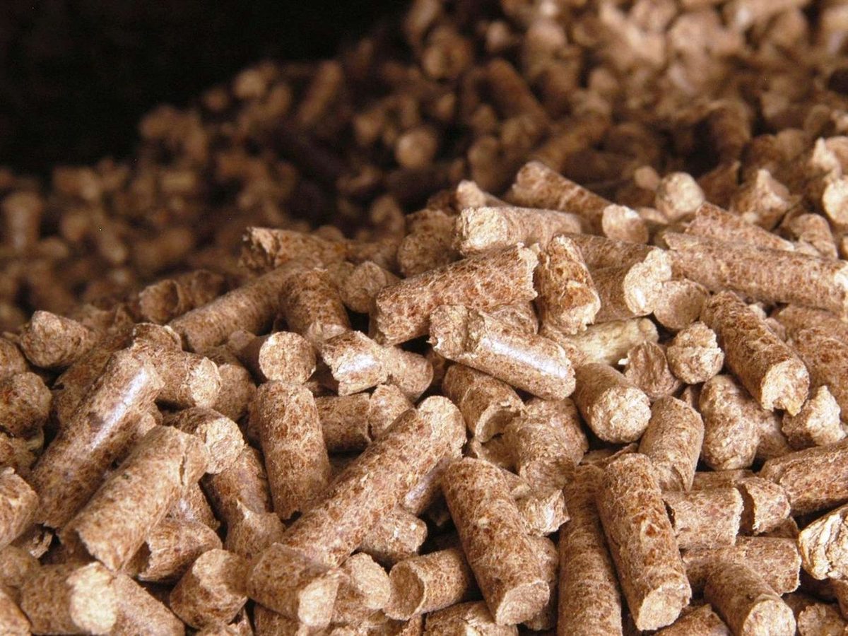 Biomass Wood Pellets