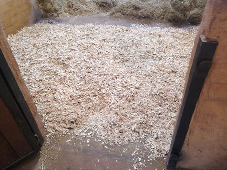 Wood Shavings (horse bedding)